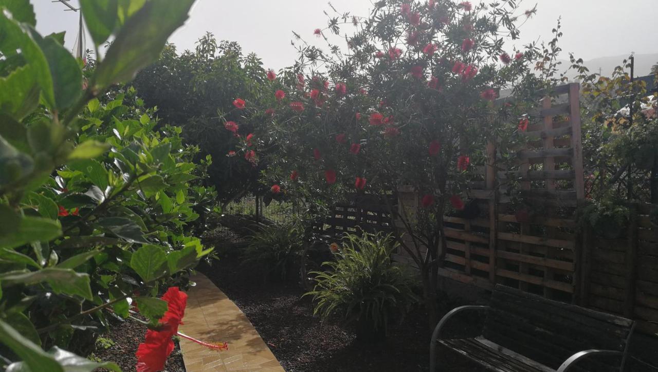 Lugares Comunes Guest House Los Realejos Exterior photo